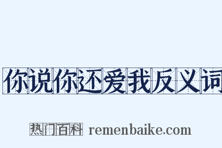 你说你还爱我反义词是什么意思的图片